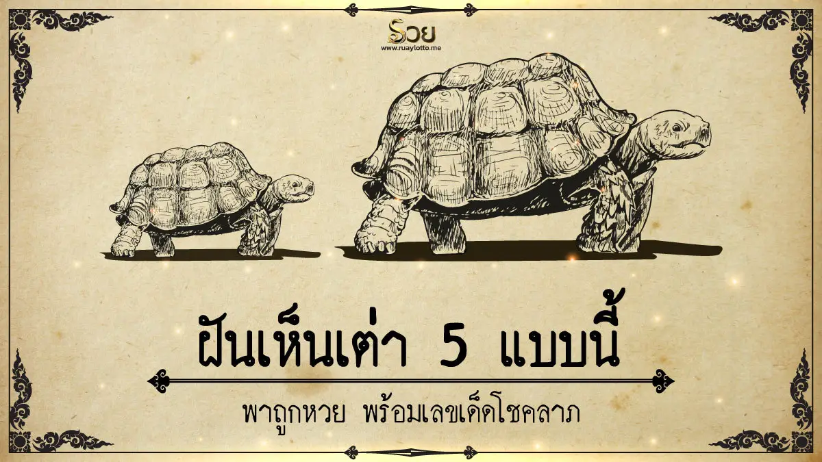 ภาพวาดลายเส้นเต่าสองตัวประกอบเนื้อหาทำนายฝัน
